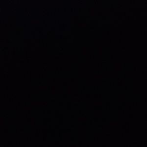 Meet your Posher, Brooklynn